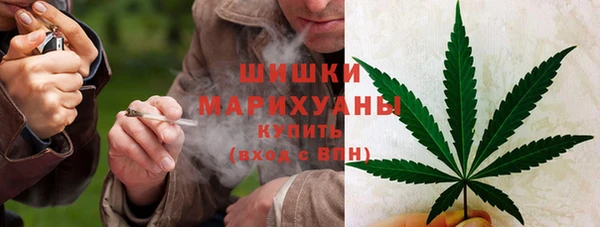 дживик Домодедово
