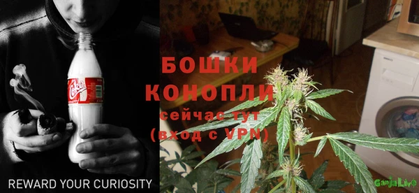 ПСИЛОЦИБИНОВЫЕ ГРИБЫ Куйбышев