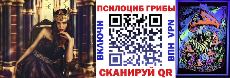 Галлюциногенные грибы Psilocybine cubensis  магазин    Чегем 