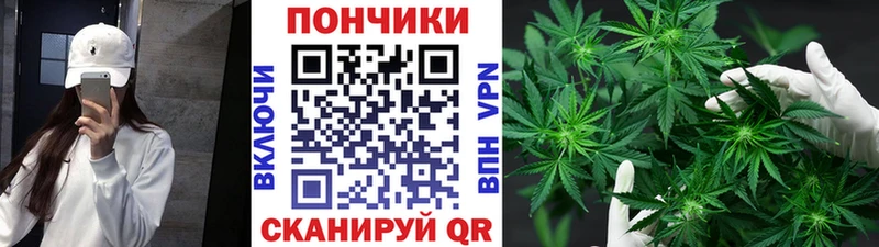 МАРИХУАНА Amnesia  ОМГ ОМГ tor  Чегем 